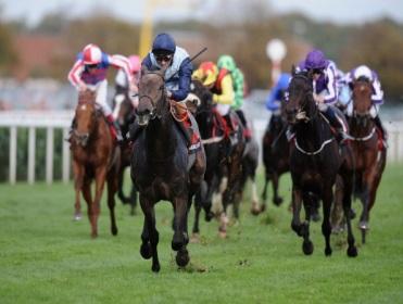 Derby second Kingston Hill can prove too good at York